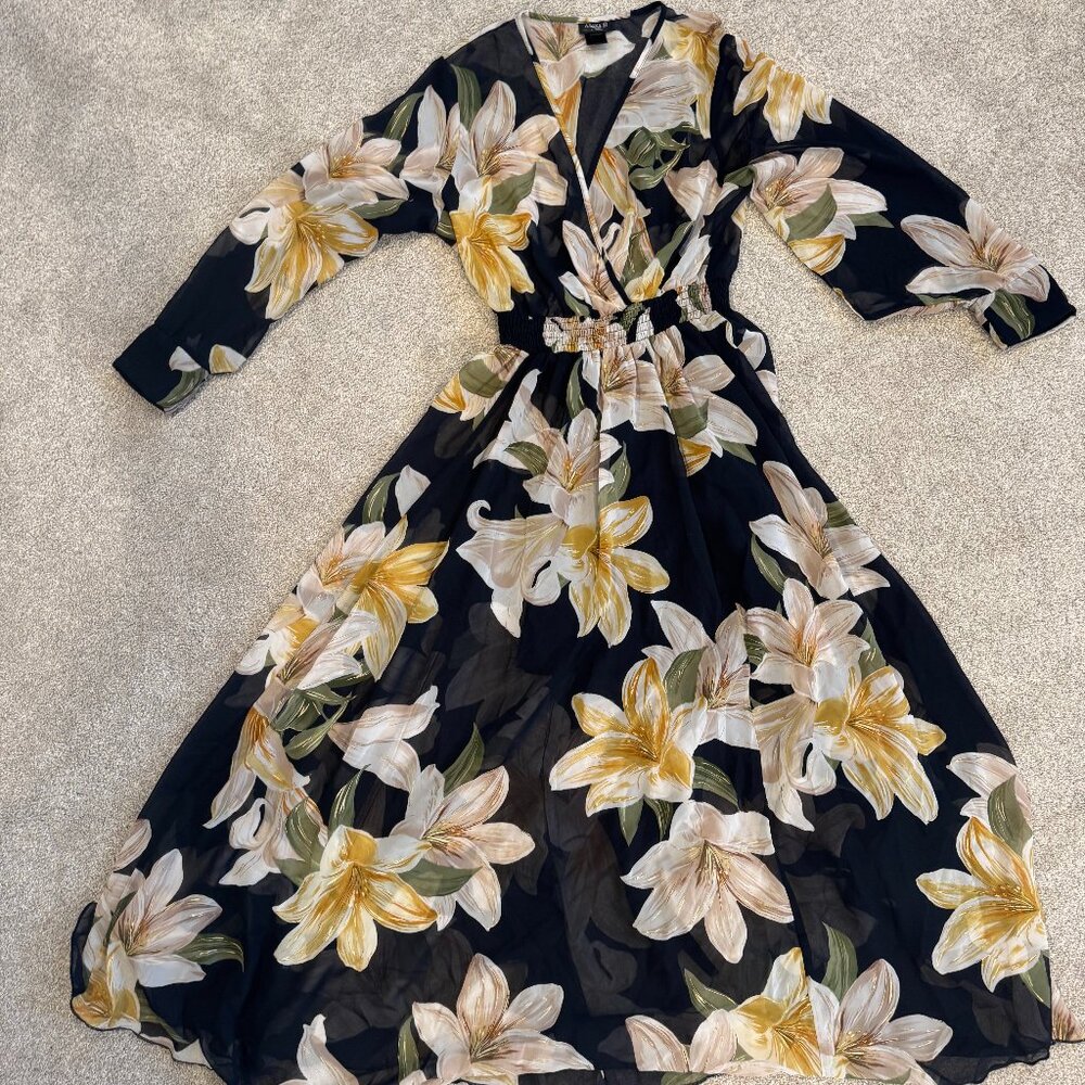 Alexa B Nites Sheer Dress, size 8